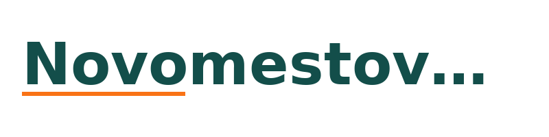 Novomestovertexlink logo